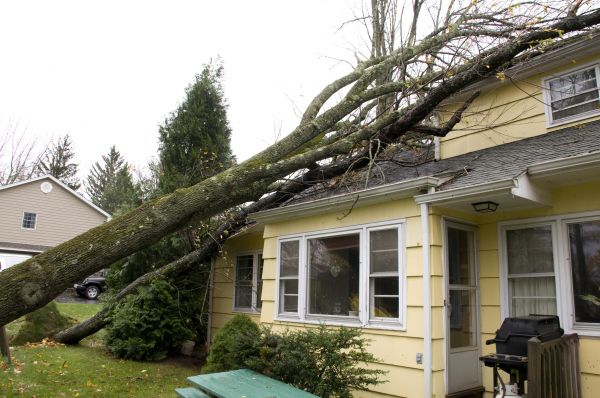 Hurricane Damage Repair in Costa Mesa